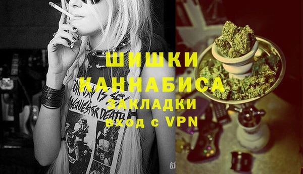 шишки Балабаново
