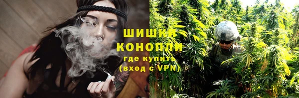 шишки Балабаново